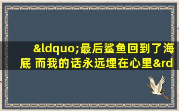 “最后鲨鱼回到了海底 而我的话永远埋在心里”